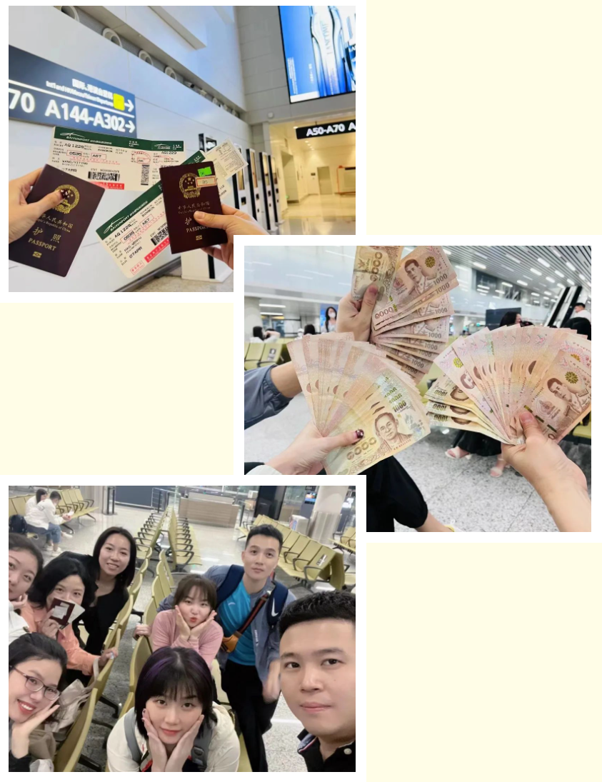 乐鱼网页版集团