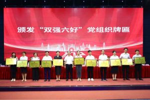 喜报！乐鱼网页版集团党支部荣获广州市非公有制经济组织“双强六好”党