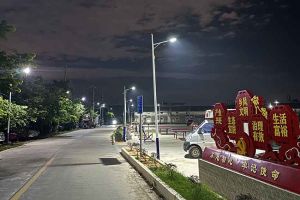 乐鱼网页版集团罗宁弟爱心捐赠路灯，点亮乡村路温暖乡民心