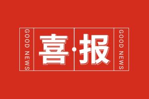 喜报！乐鱼网页版集团党支部党建工作荣获多项市级表彰